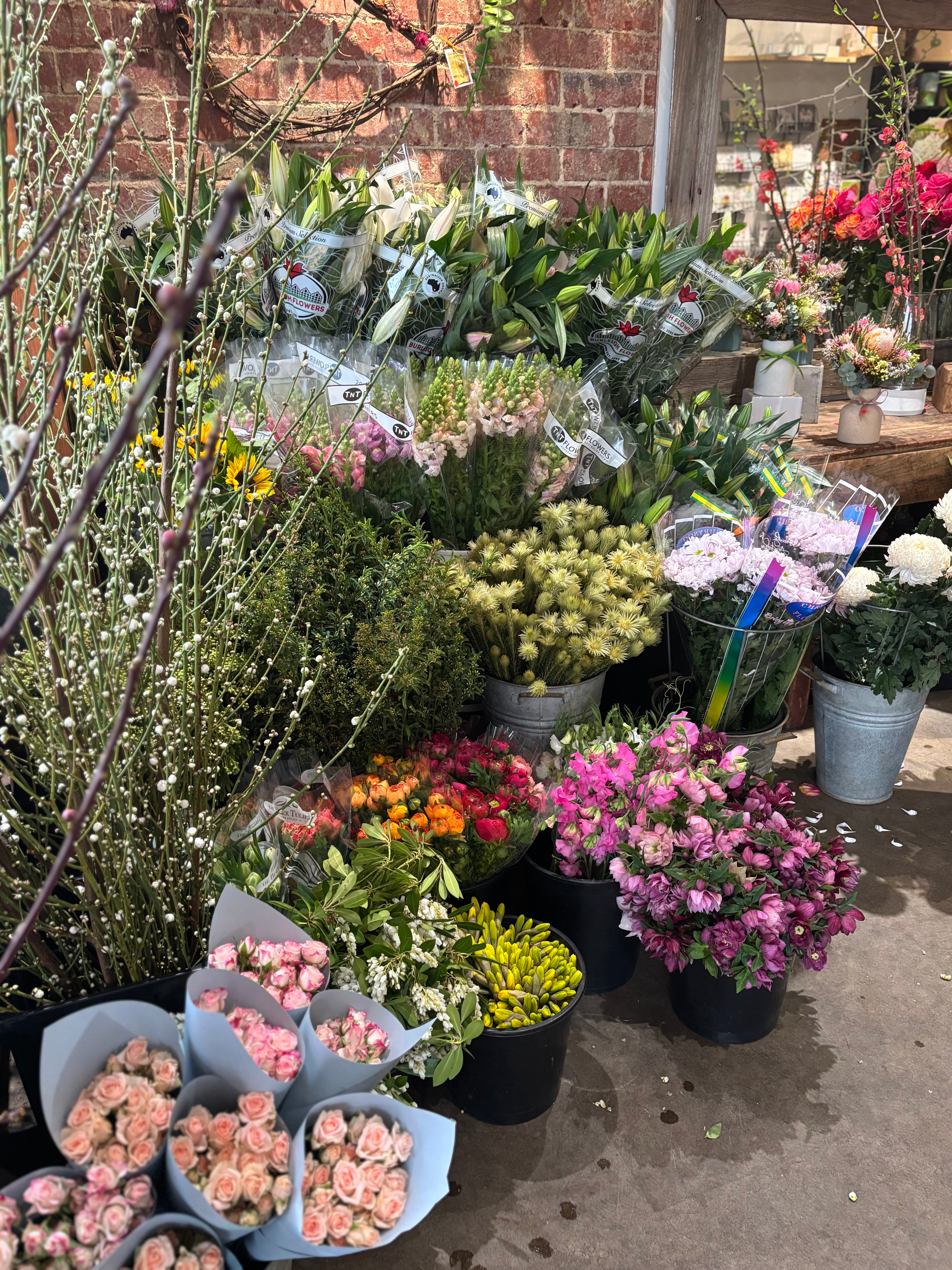Secret Garden selection