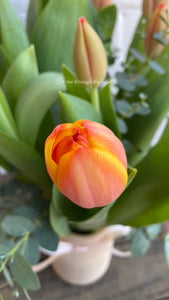 Tulip vase